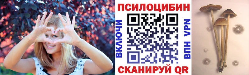 Галлюциногенные грибы мицелий  наркошоп  Киселёвск 